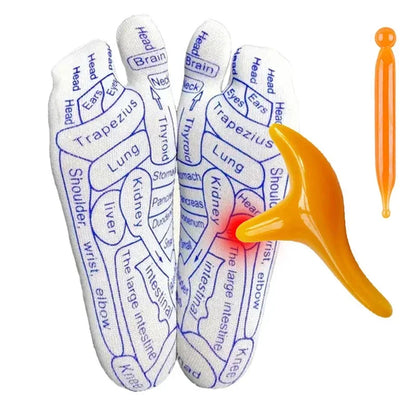 White reflexology foot map with blue labels and an orange reflexology tool on a white background