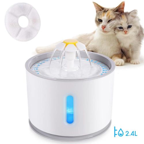 Pet water fountain with two cats sitting next to it on a white background