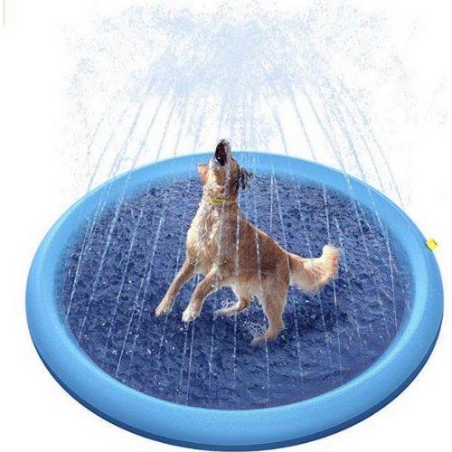 Dog playing in a blue water sprinkler pad on a white background