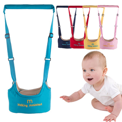 Baby walking assistant with colorful options and a baby model.