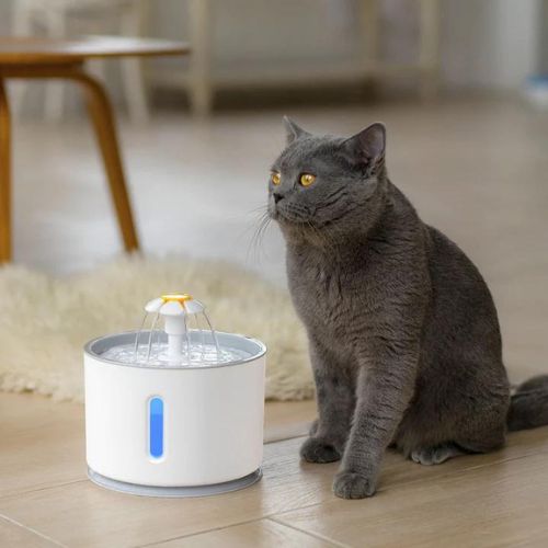 Gray cat sitting next to a pet water fountain on a wooden floor.