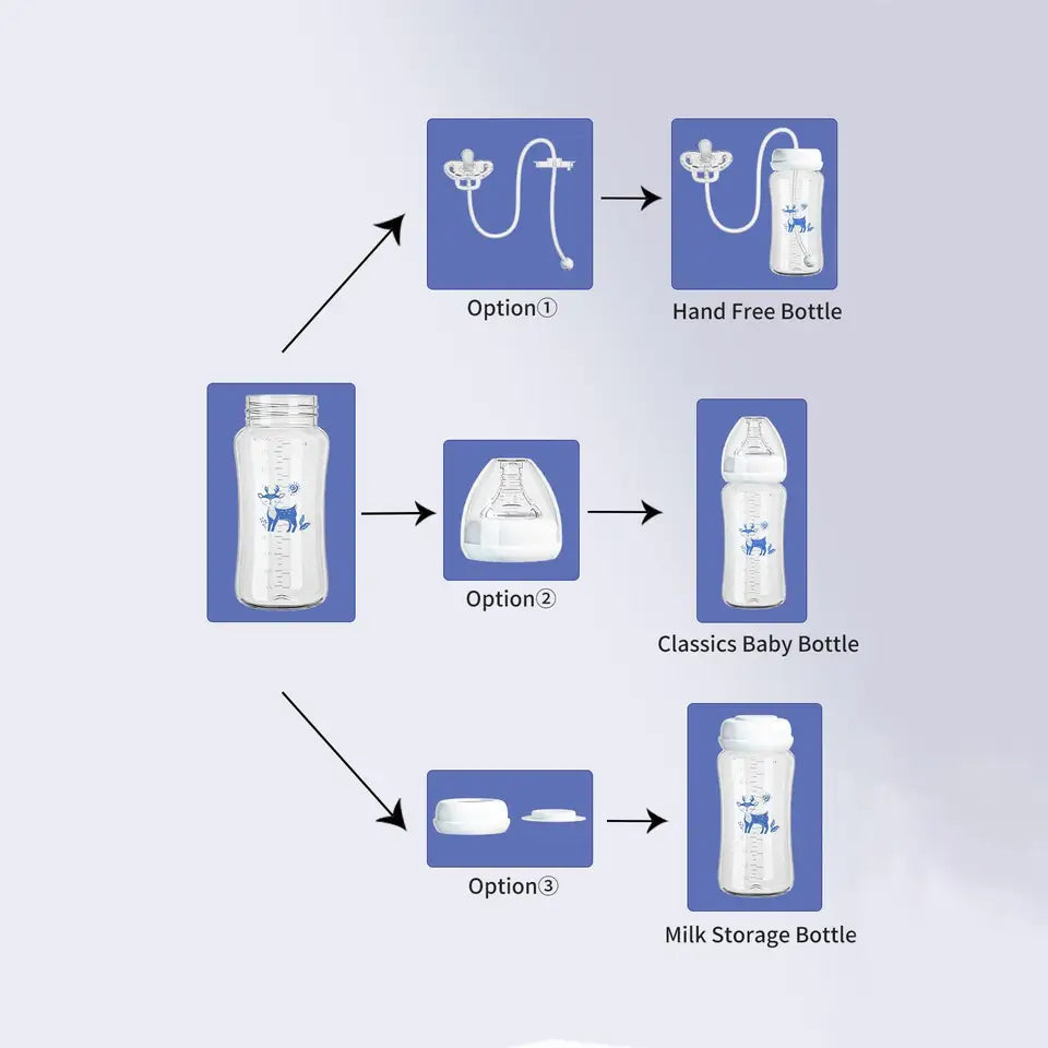 Diagram showing different bottle options with labels on a light purple background