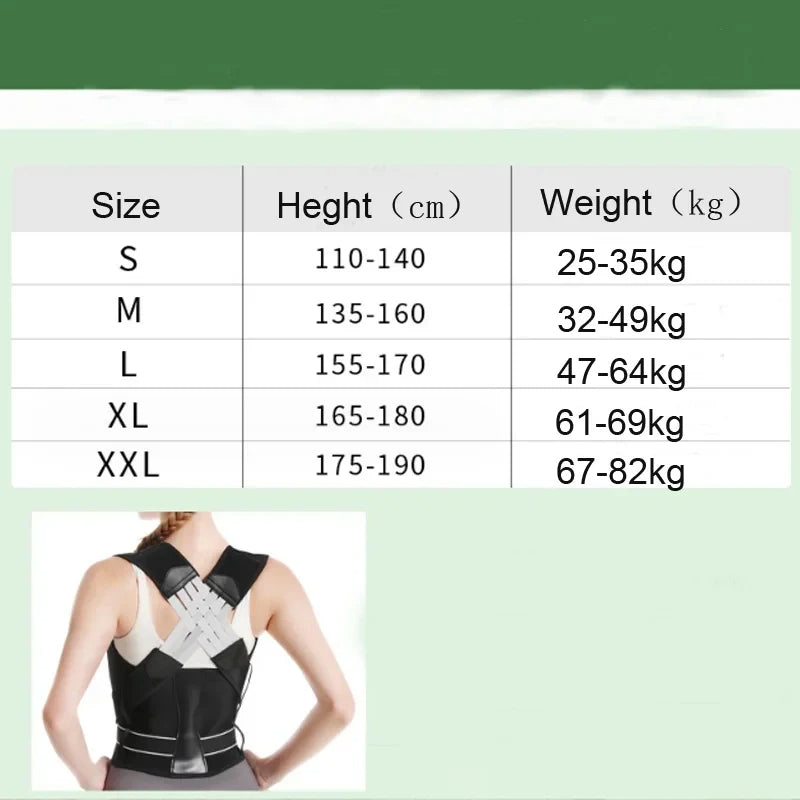 Back brace with size chart indicating height and weight ranges.