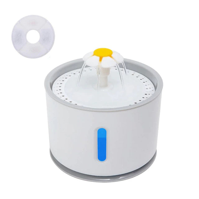 Pet water fountain with filter on a white background