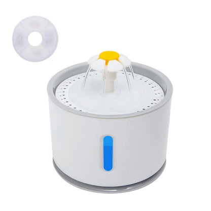 Pet water fountain with filter on a white background